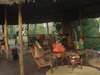 Selous Impala Camp - Lounge